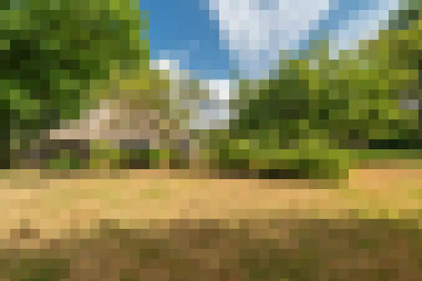 Esweg 12 Norg thumbnail 65