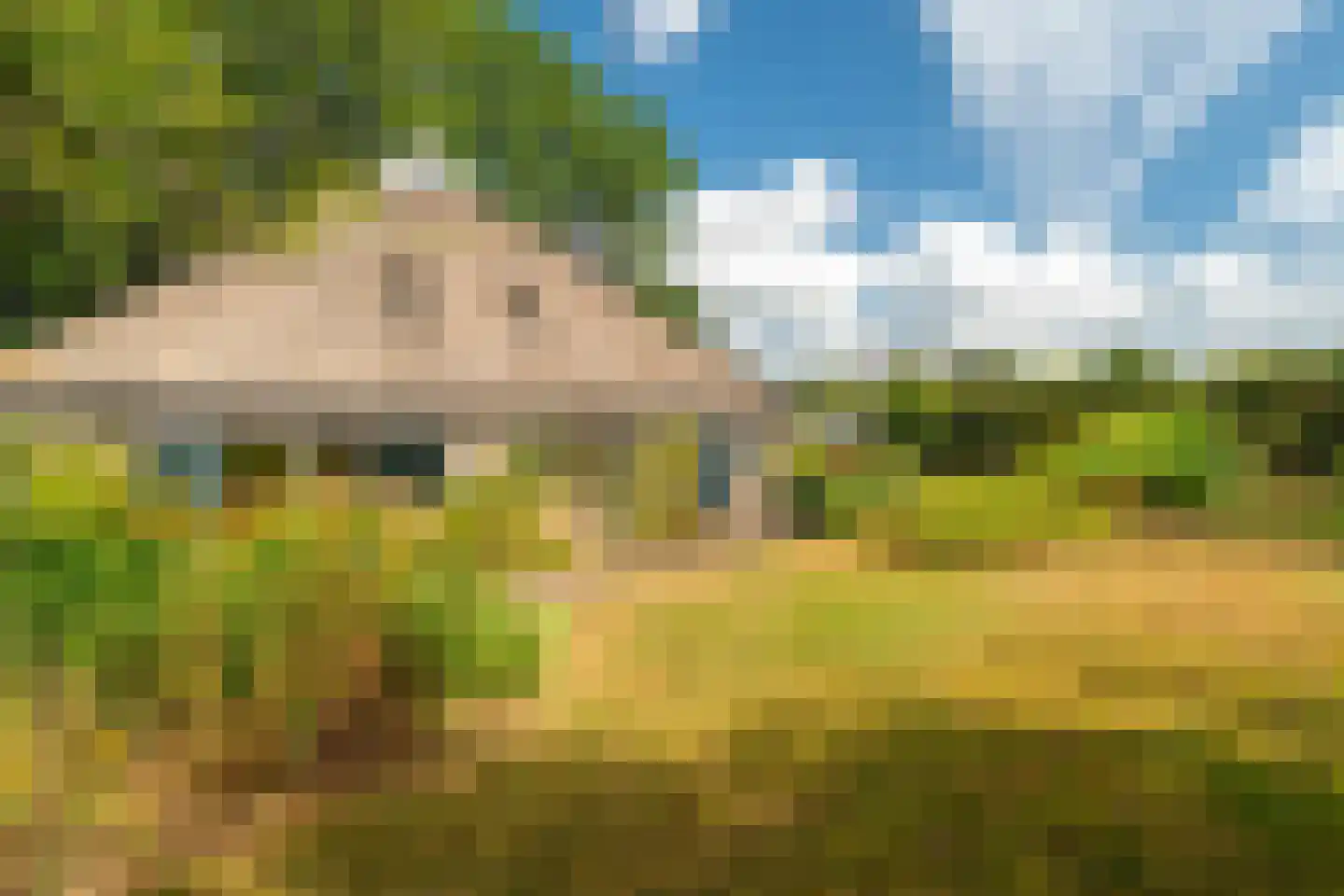Esweg 12 Norg thumbnail 66