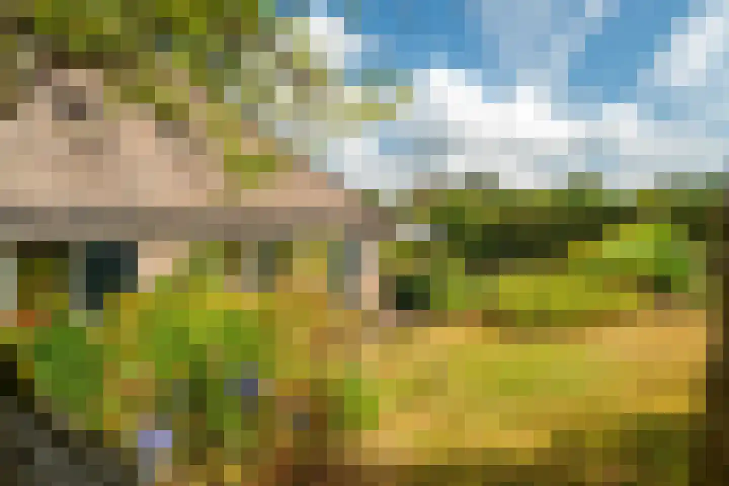 Esweg 12 Norg thumbnail 67