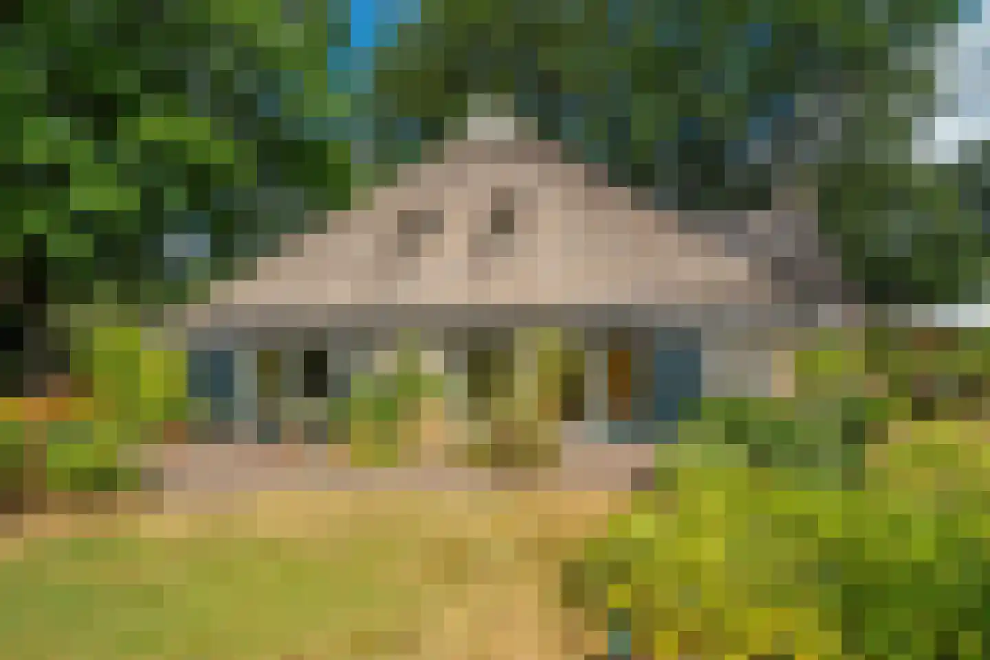 Esweg 12 Norg thumbnail 68