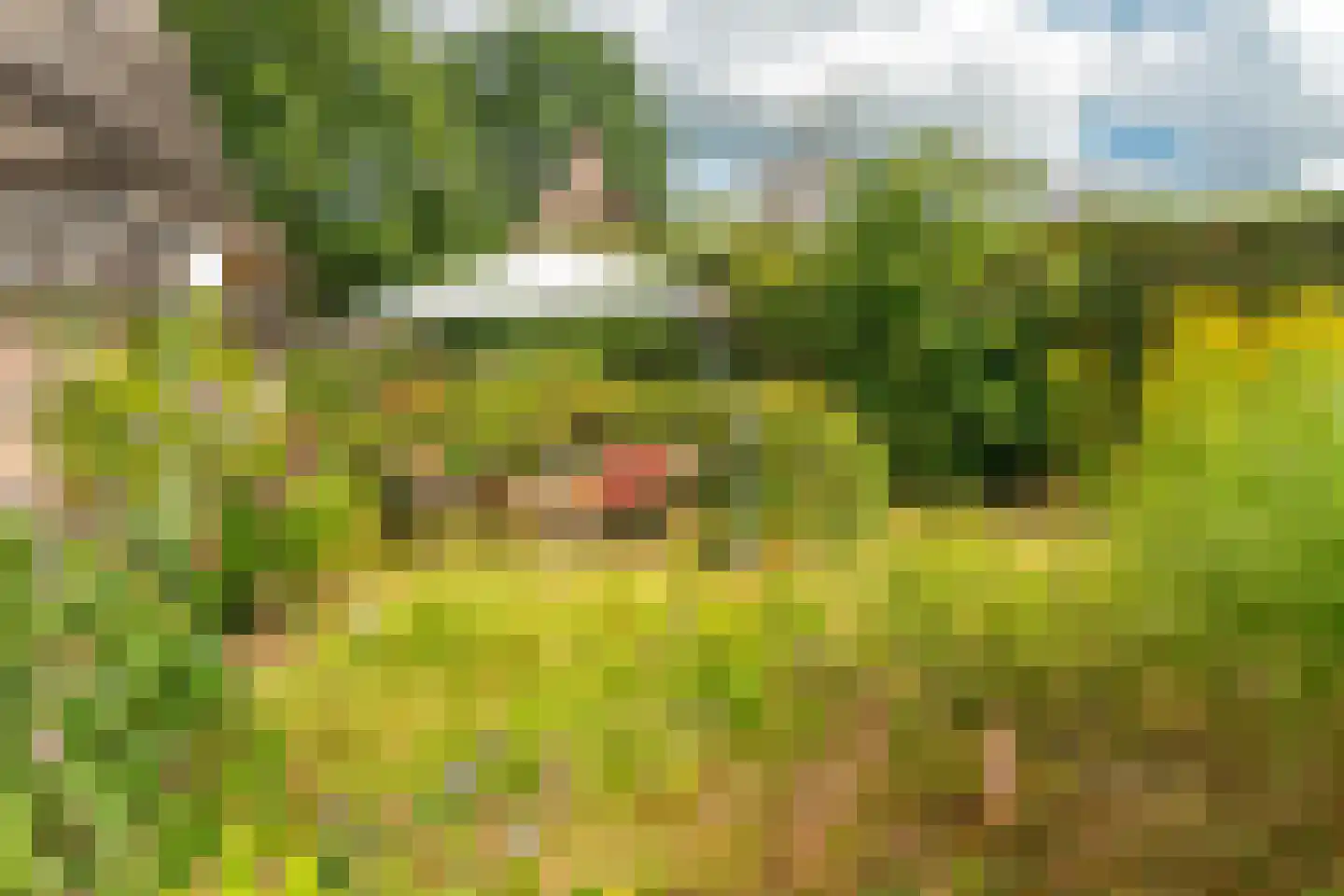 Esweg 12 Norg thumbnail 69