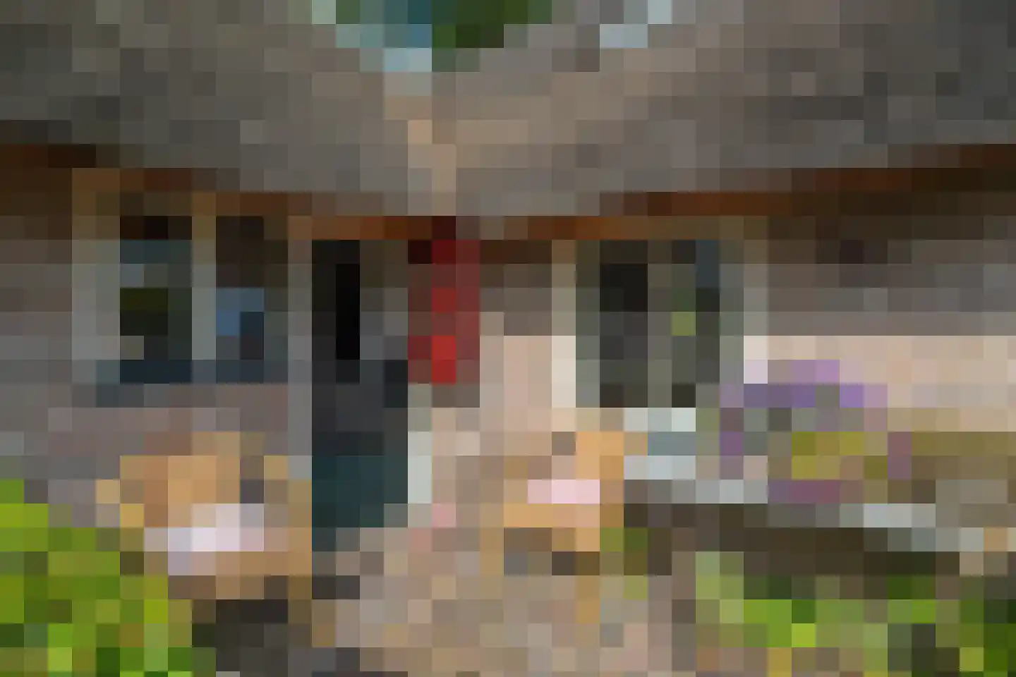 Esweg 12 Norg thumbnail 72