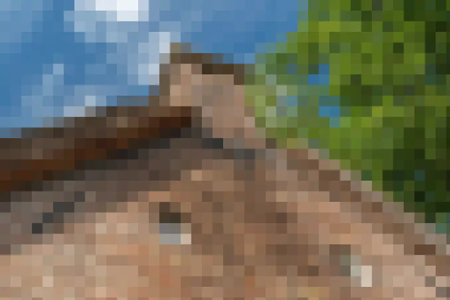 Esweg 12 Norg thumbnail 73