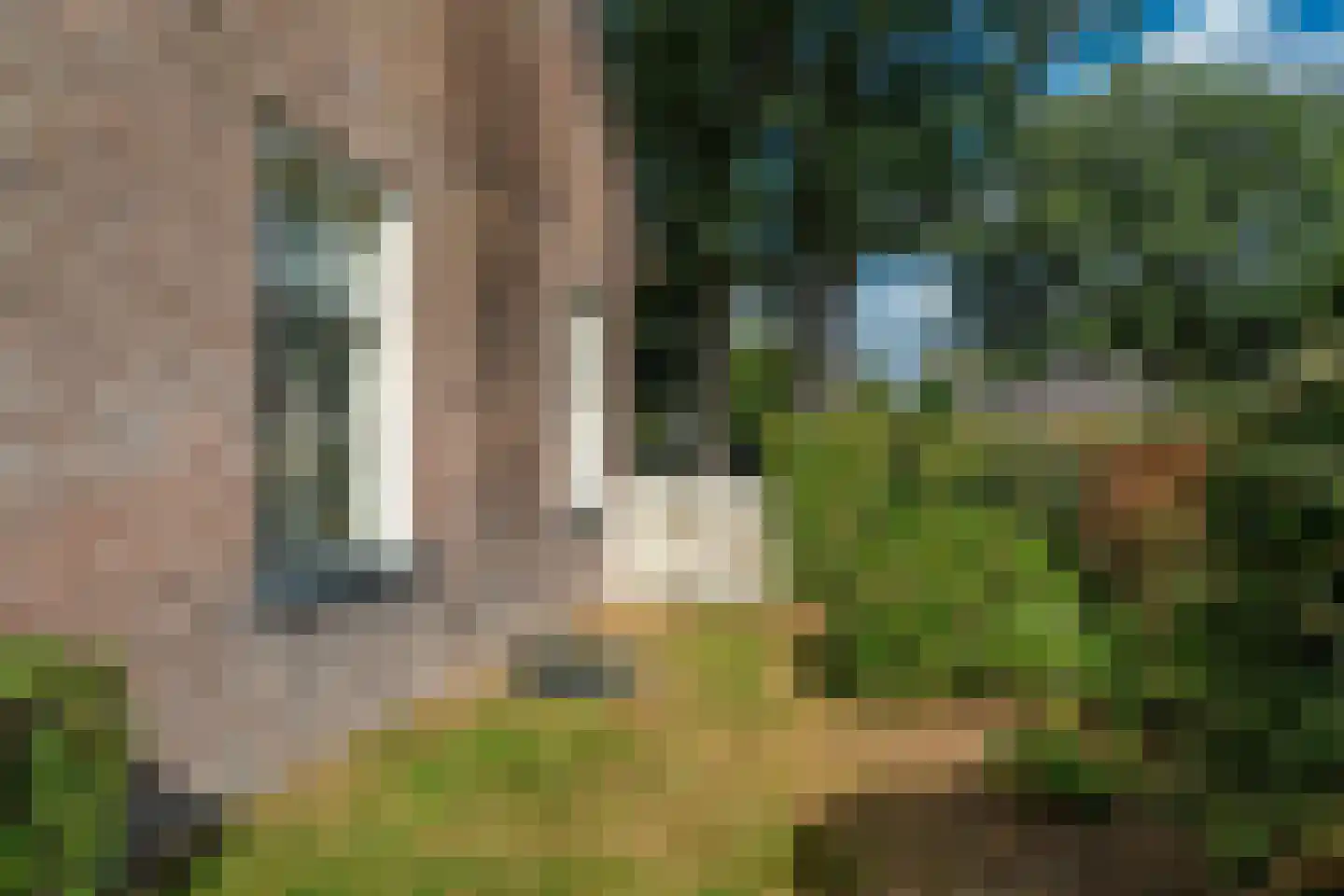 Esweg 12 Norg thumbnail 74