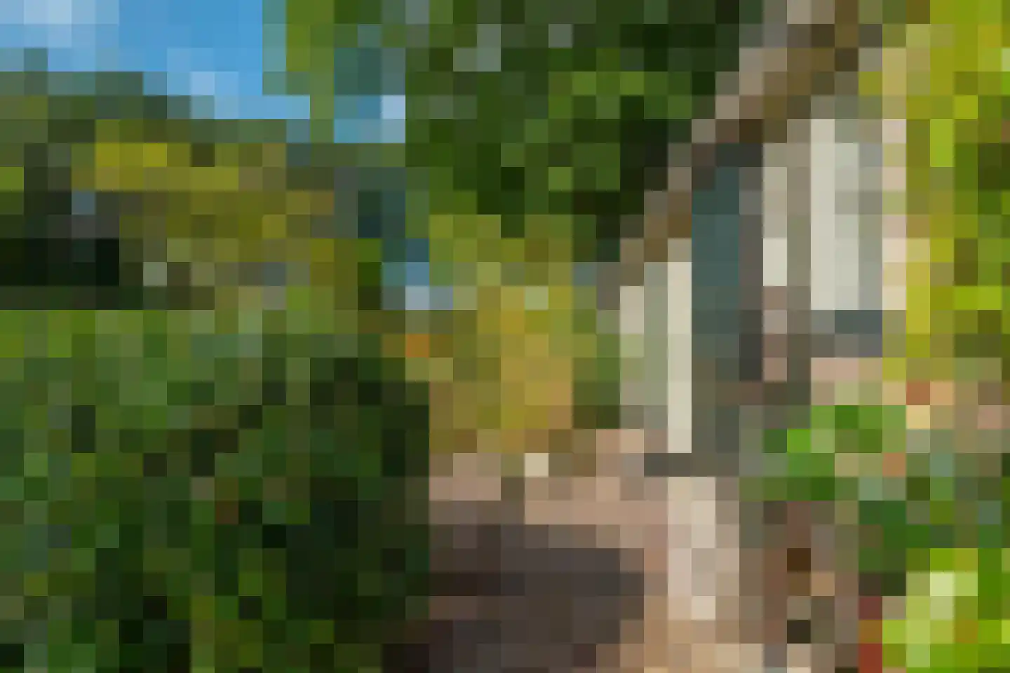 Esweg 12 Norg thumbnail 76