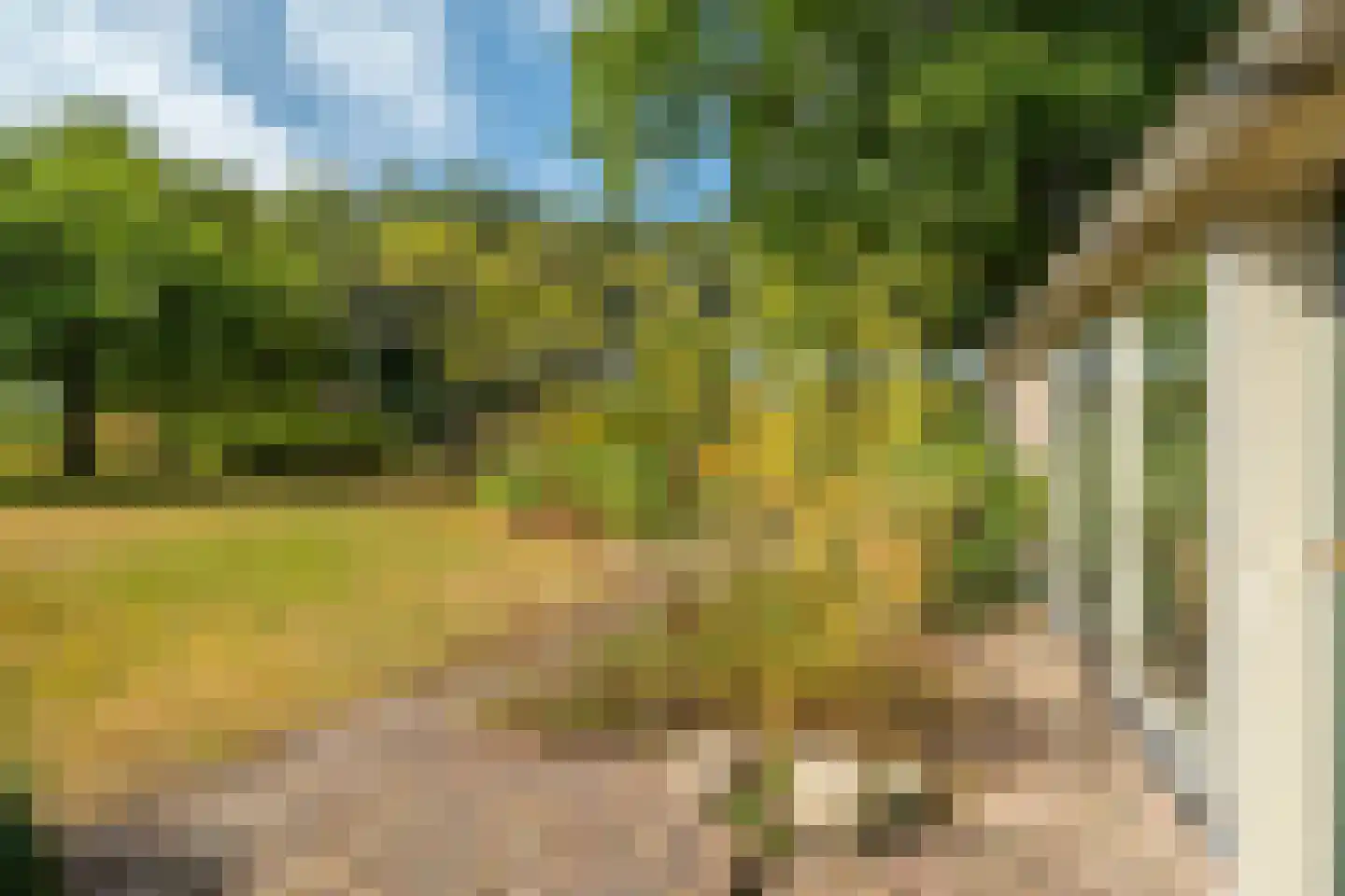 Esweg 12 Norg thumbnail 77