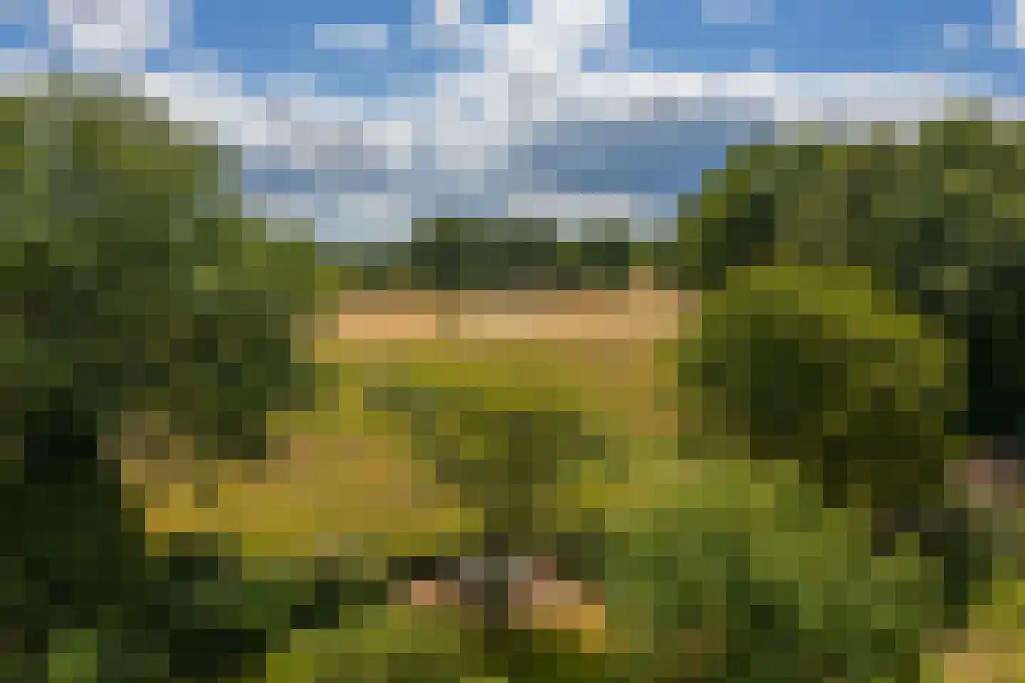Esweg 12 Norg thumbnail 78