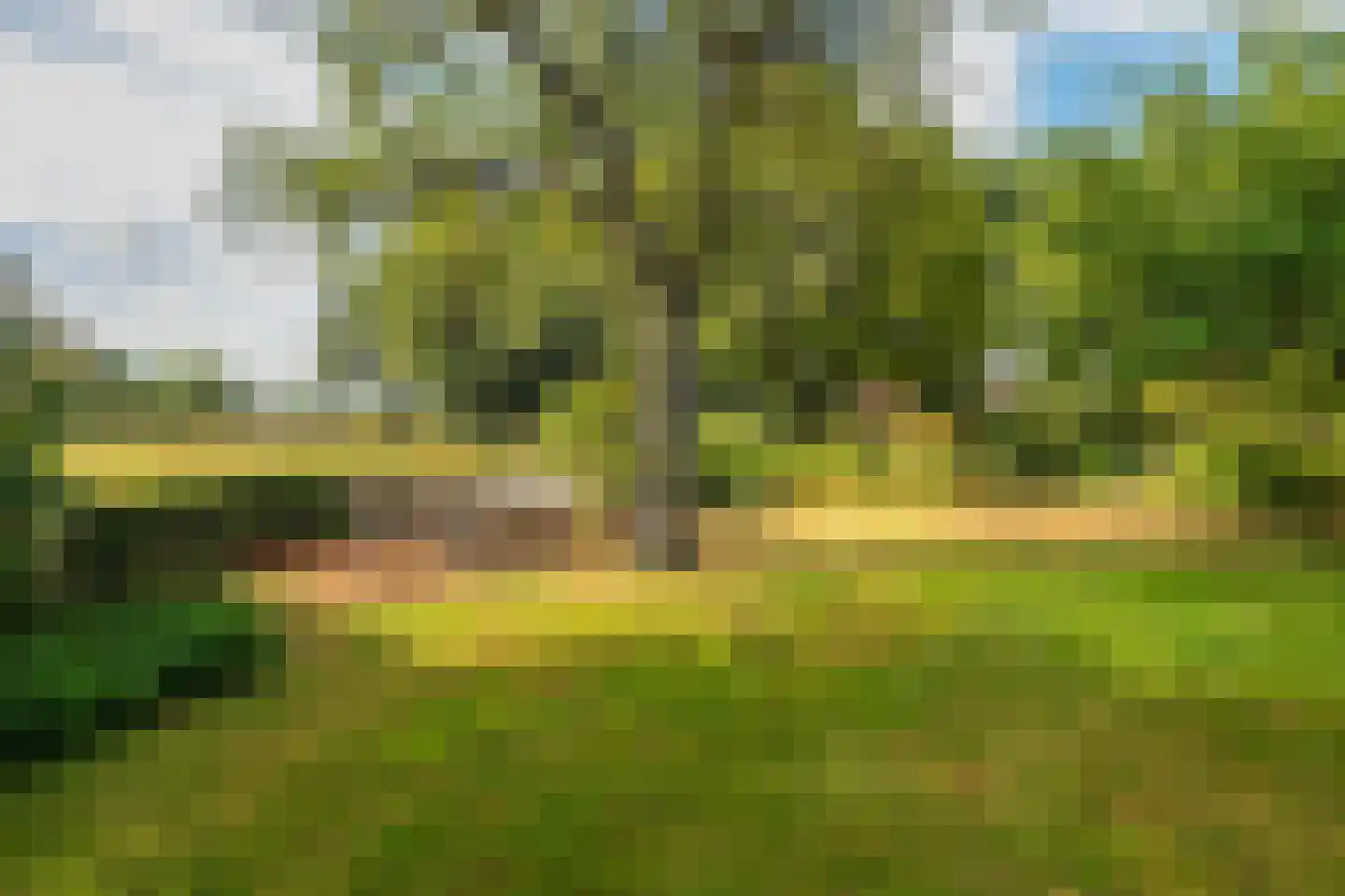 Esweg 12 Norg thumbnail 79