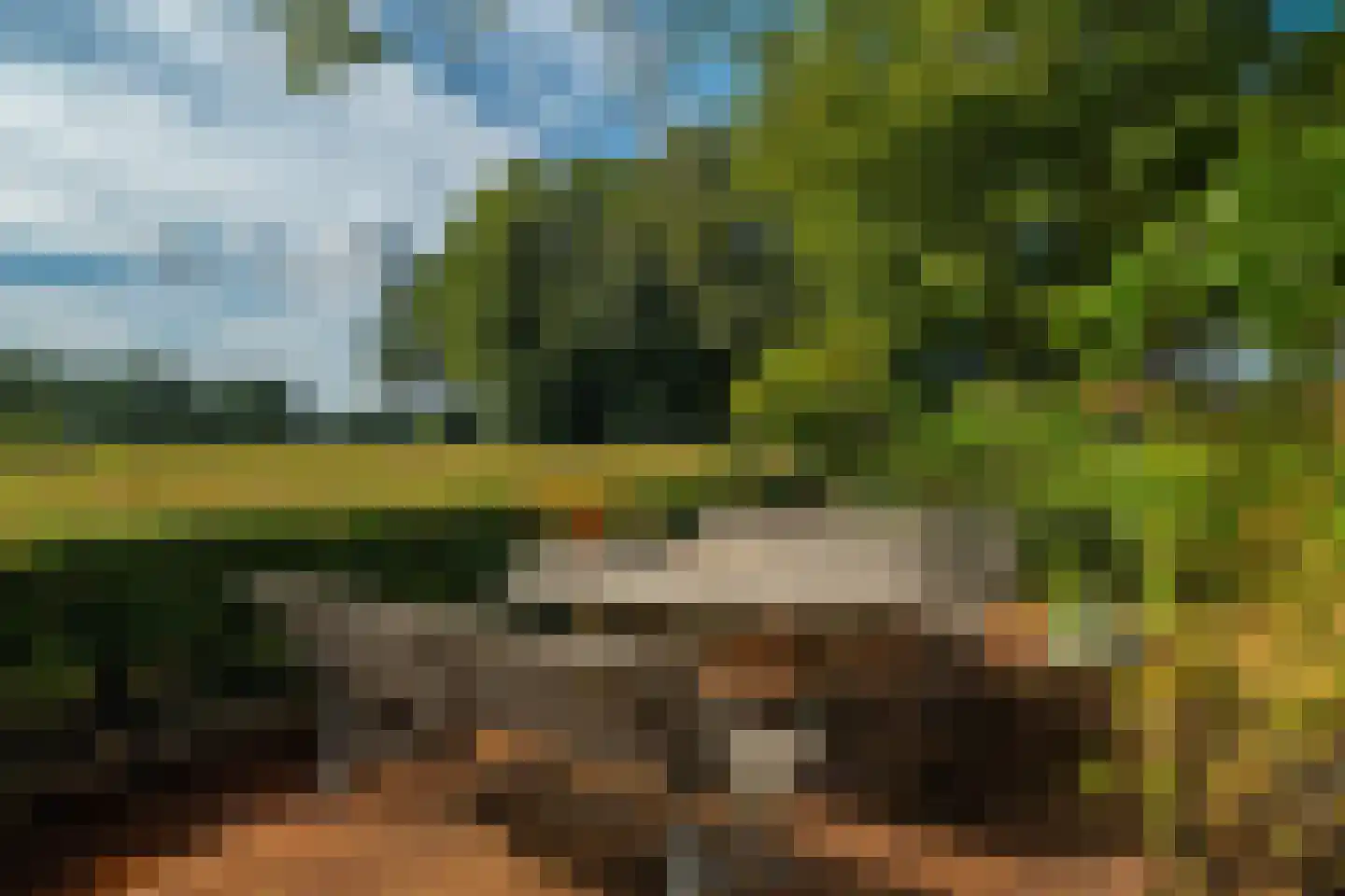 Esweg 12 Norg thumbnail 80