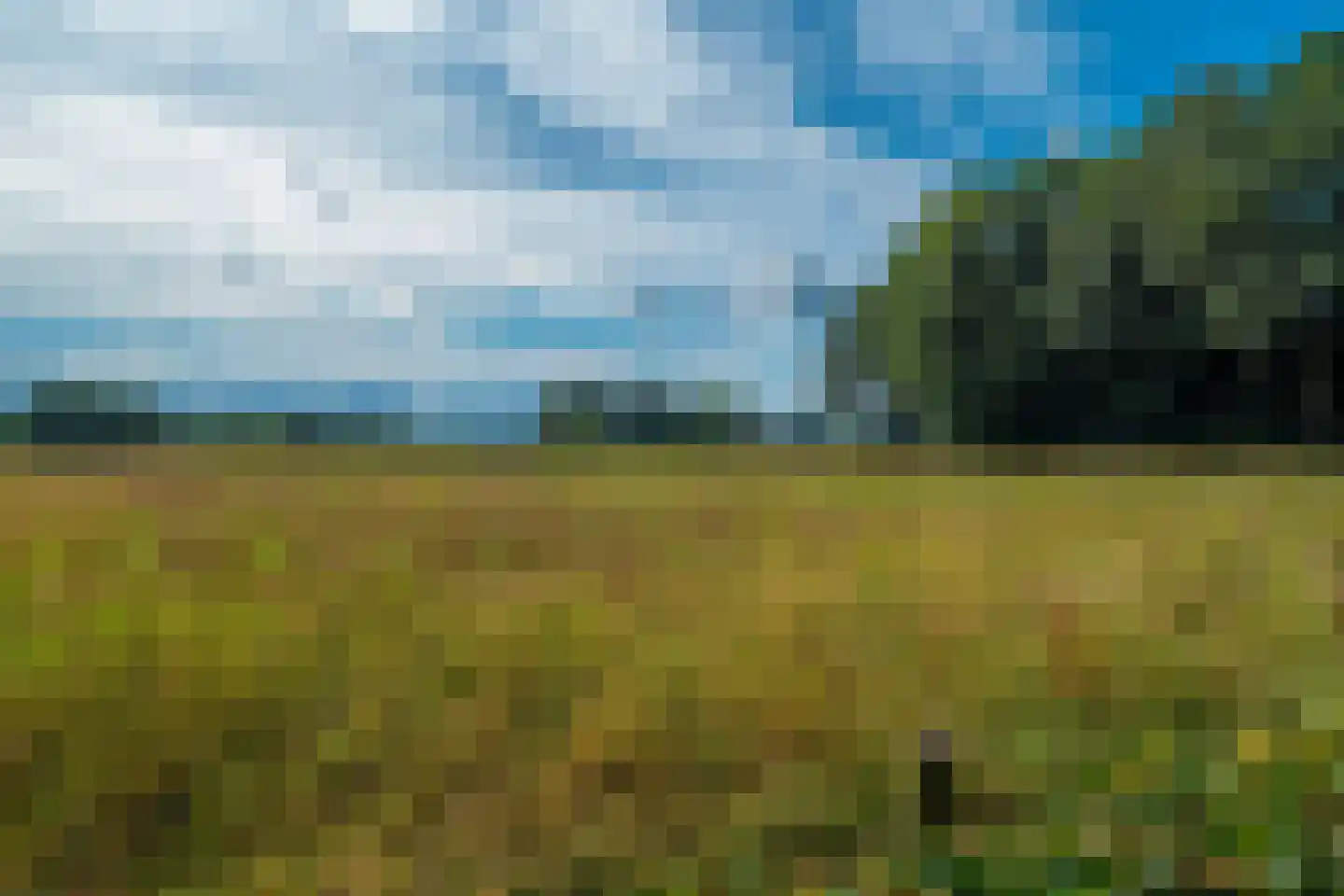 Esweg 12 Norg thumbnail 81