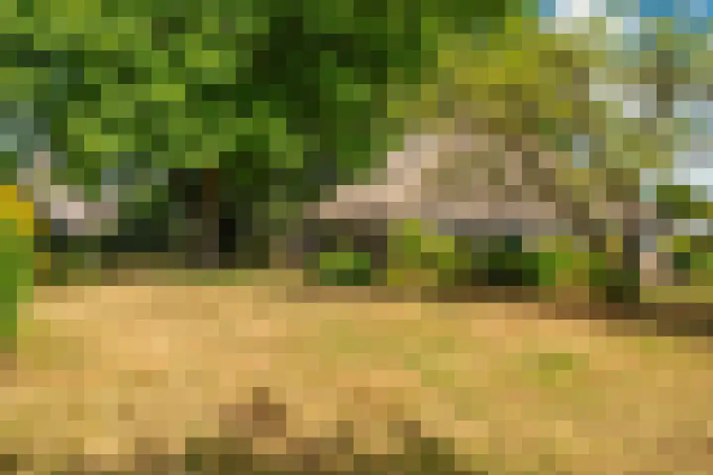 Esweg 12 Norg thumbnail 82