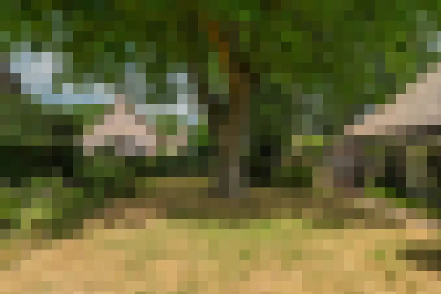 Esweg 12 Norg thumbnail 83
