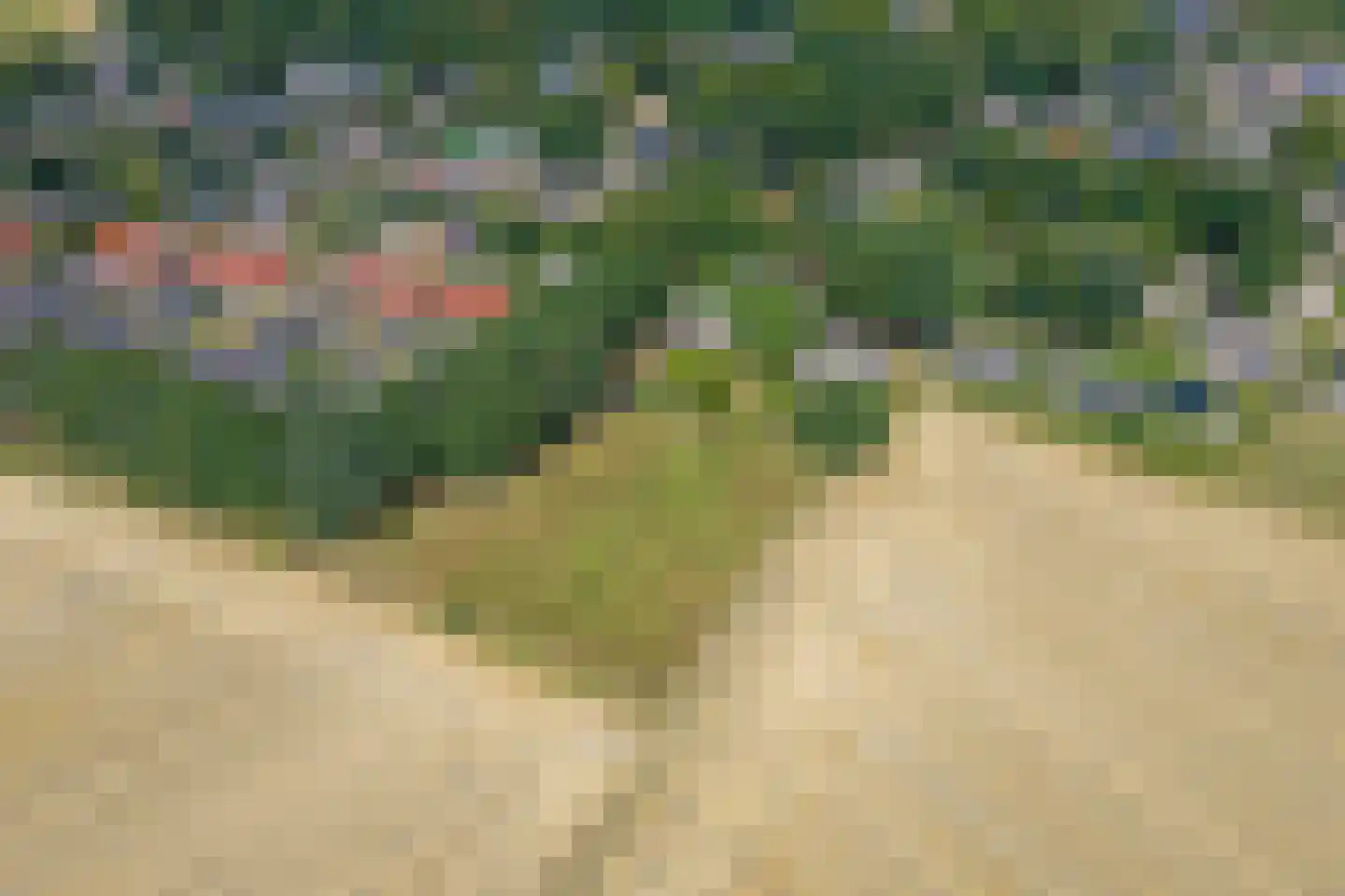 Esweg 12 Norg thumbnail 89