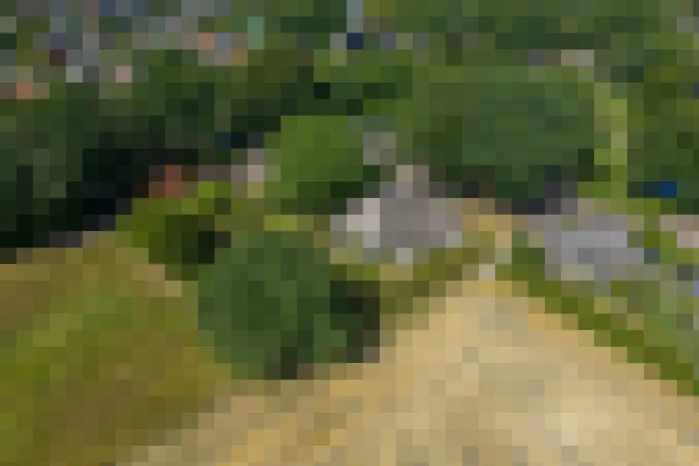 Esweg 12 Norg thumbnail 90
