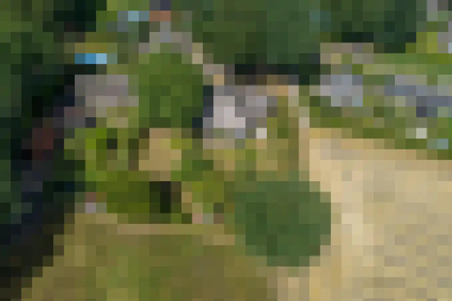 Esweg 12 Norg thumbnail 91