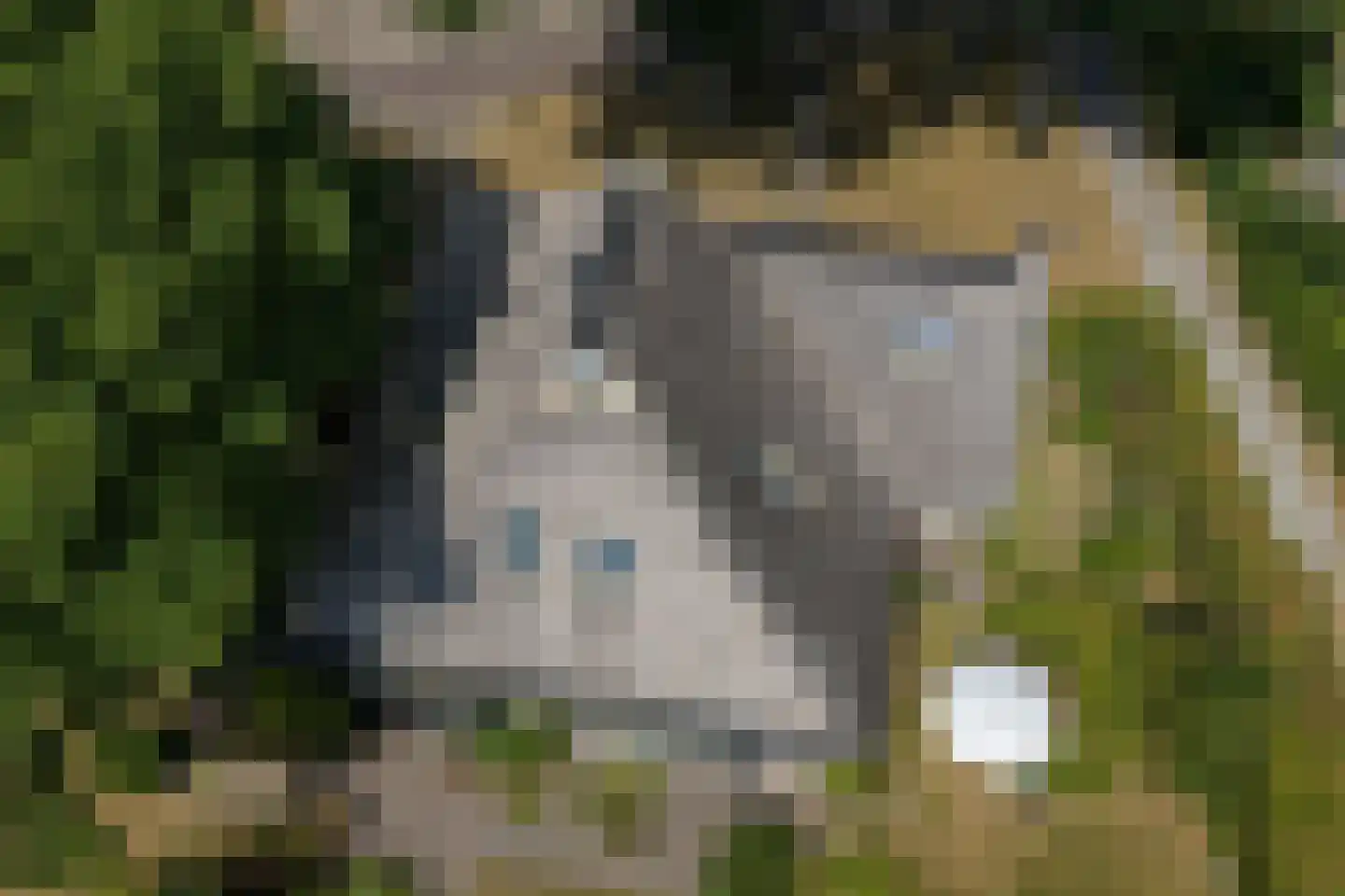 Esweg 12 Norg thumbnail 92