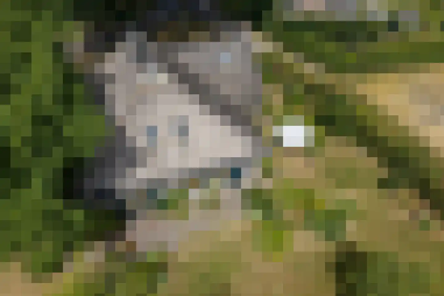 Esweg 12 Norg thumbnail 93