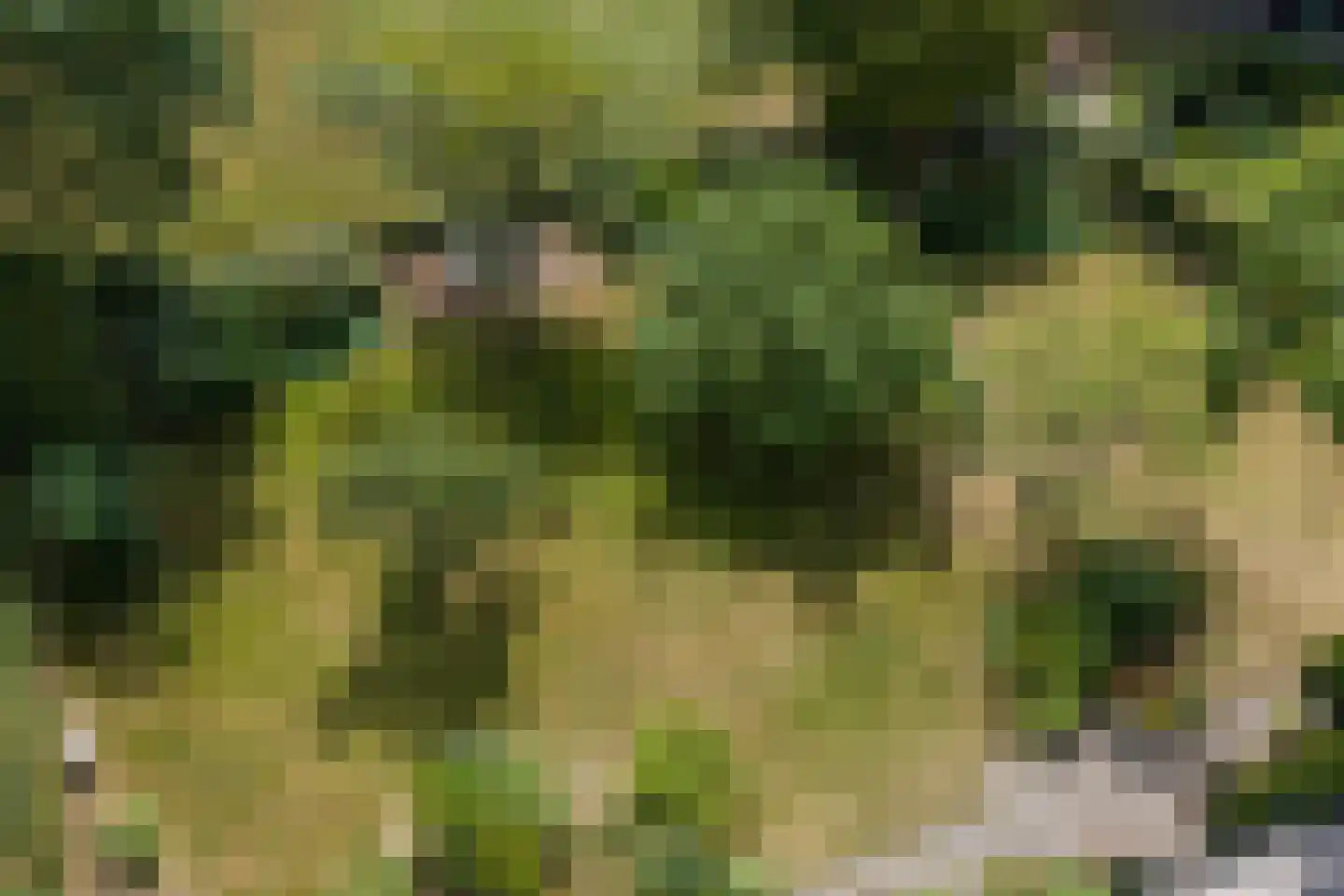 Esweg 12 Norg thumbnail 94