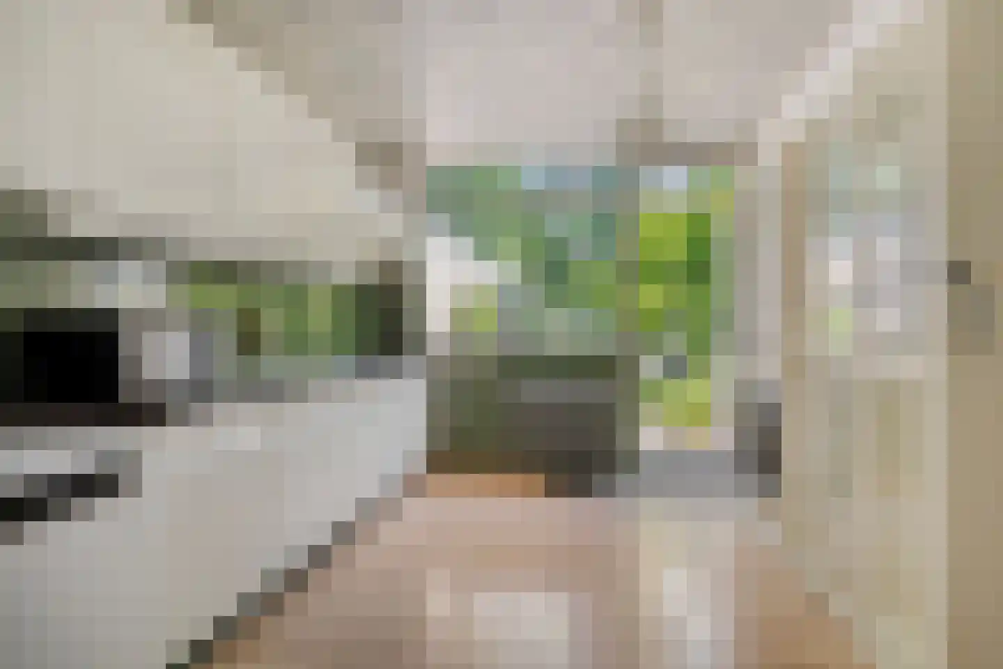 Esweg 14 Blijham thumbnail 12