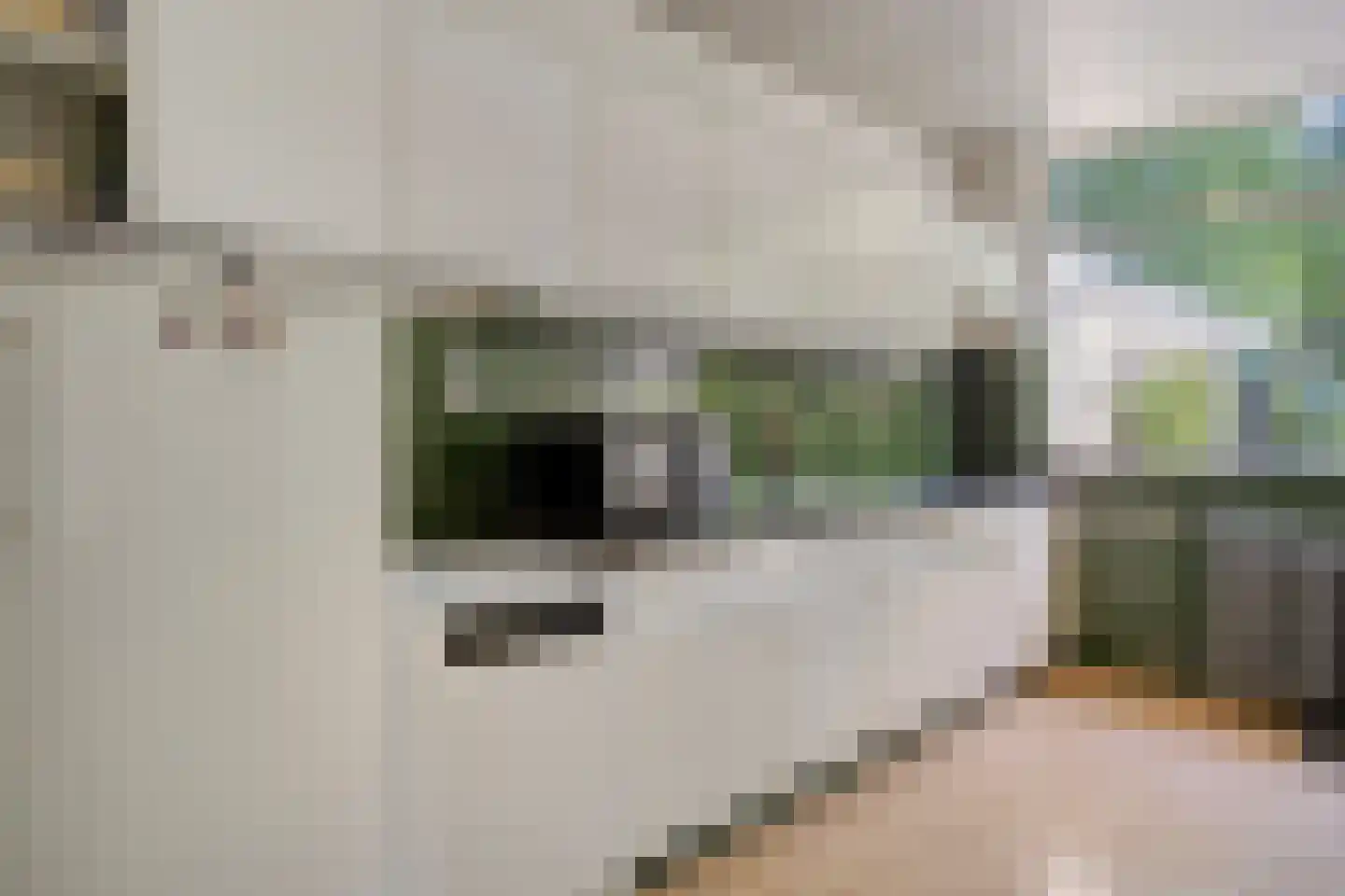 Esweg 14 Blijham thumbnail 13