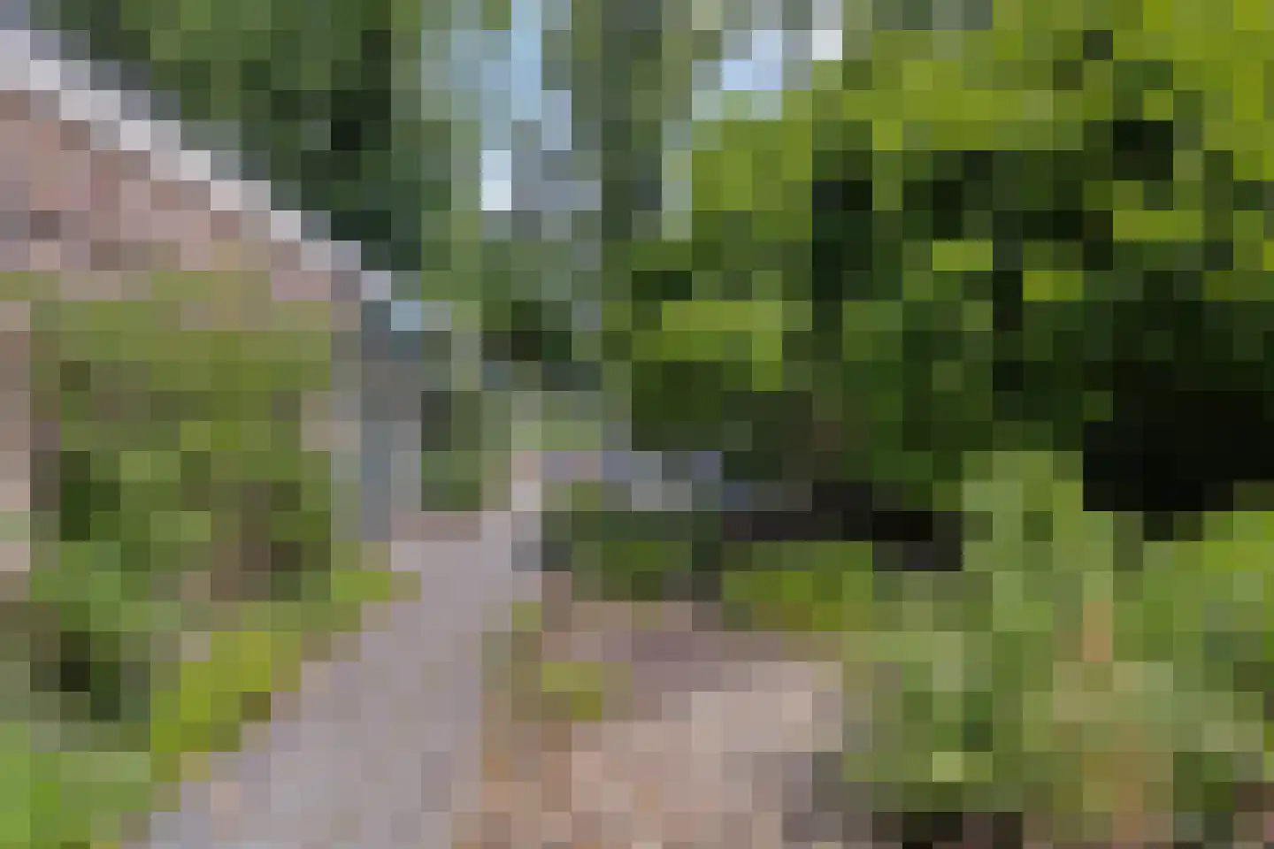 Esweg 14 Blijham thumbnail 25