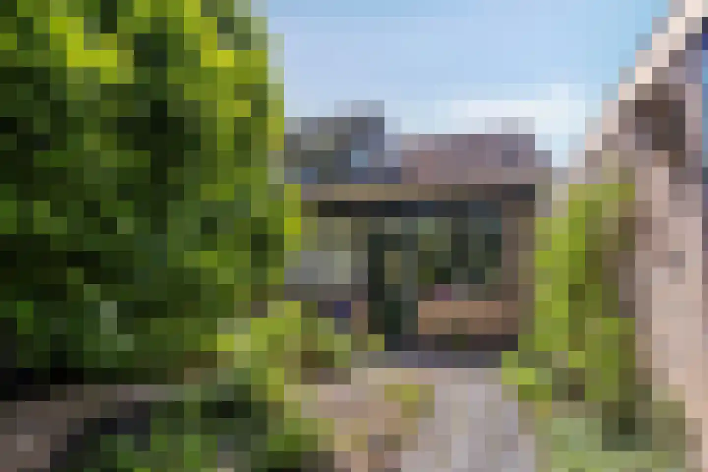 Esweg 14 Blijham thumbnail 26