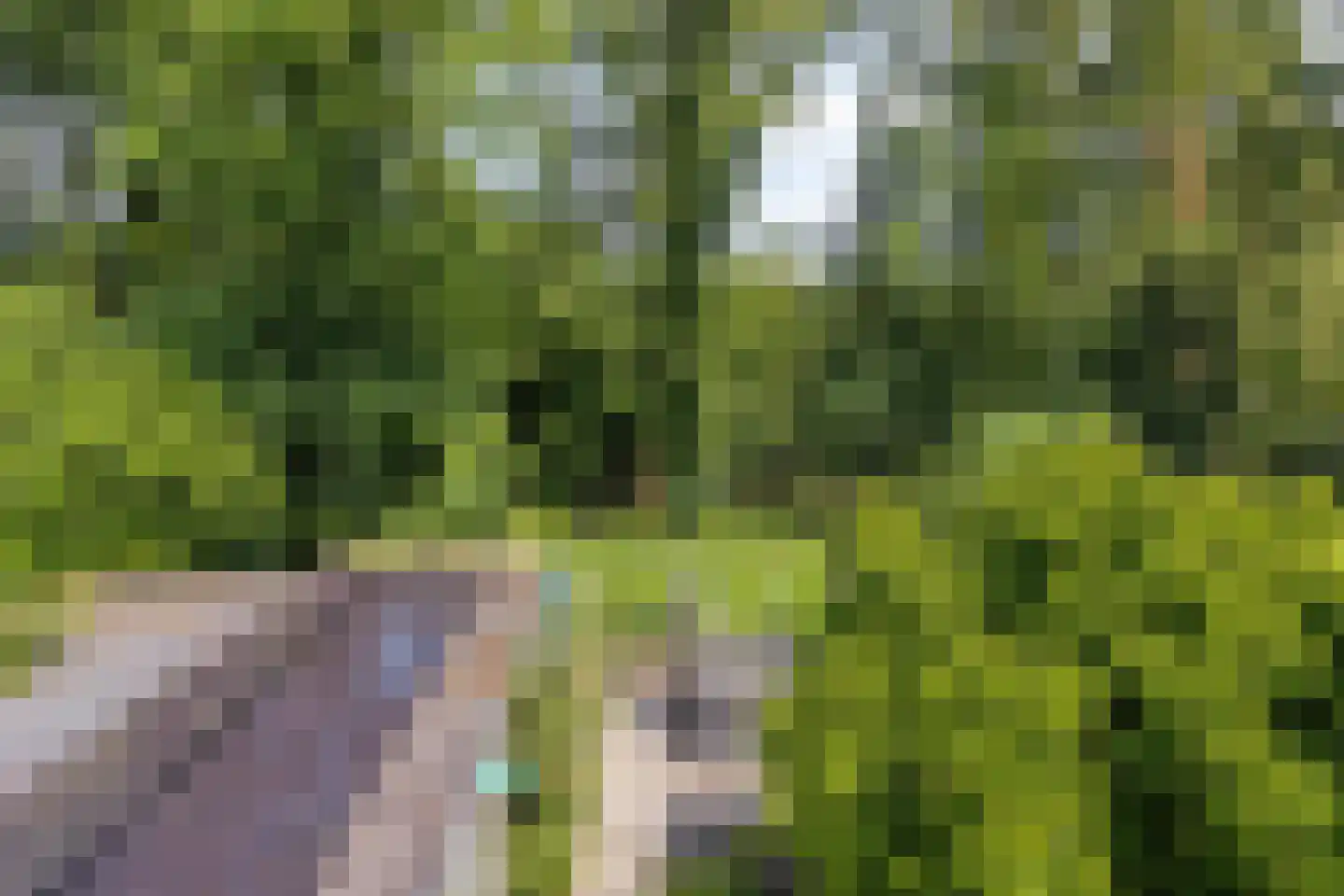 Esweg 14 Blijham thumbnail 27