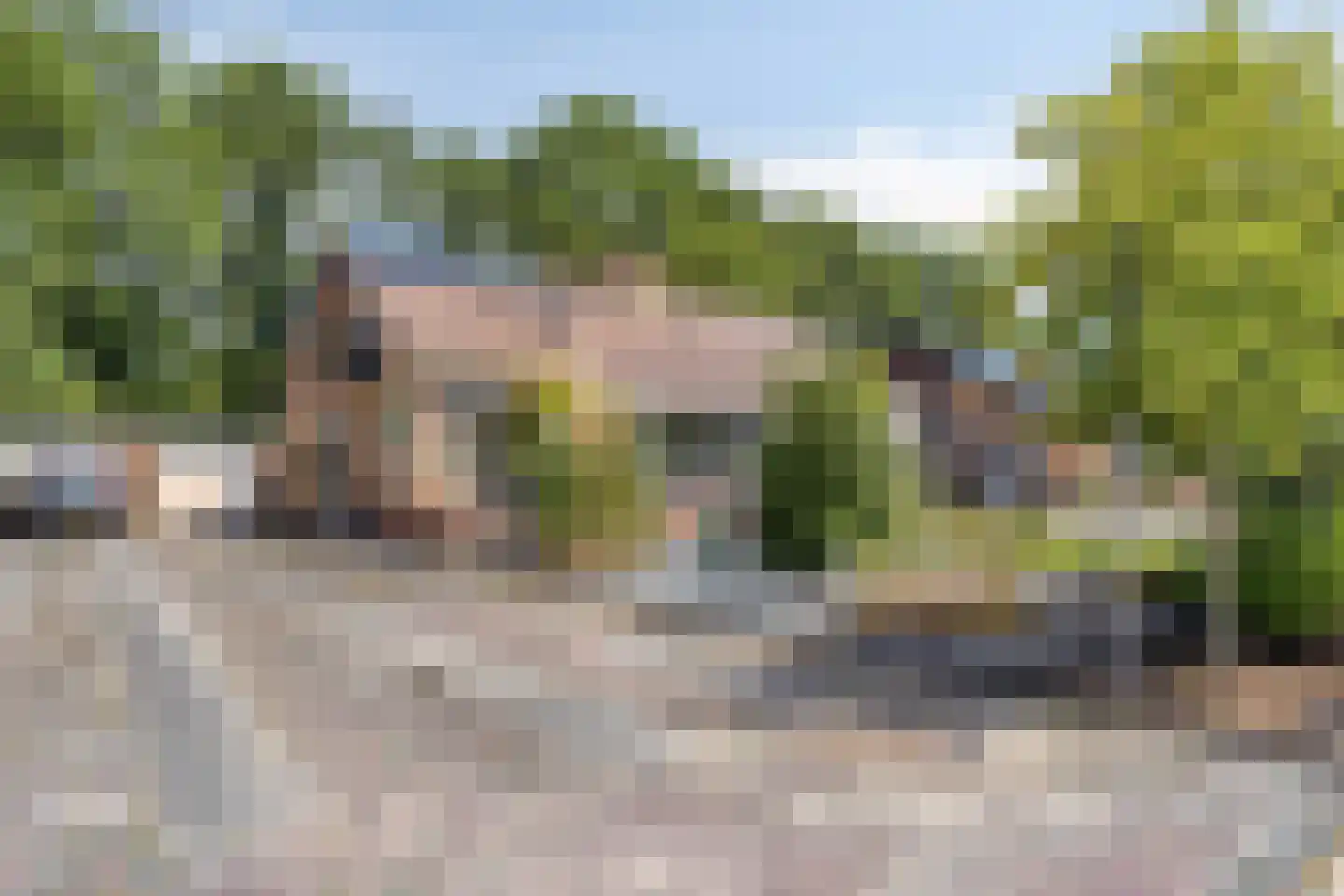 Esweg 14 Blijham thumbnail 4