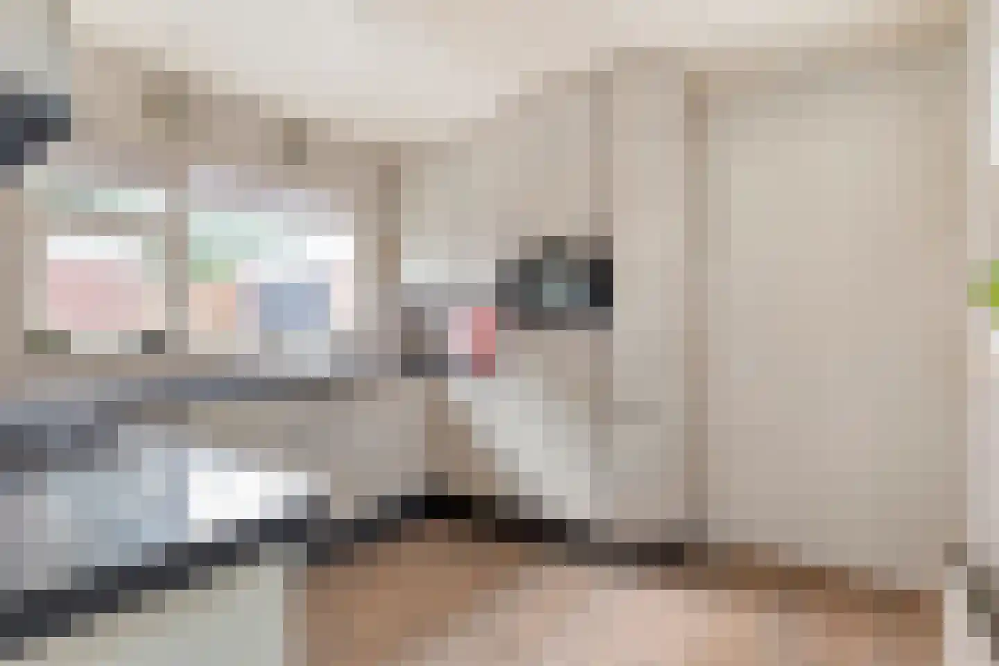Esweg 14 Hardenberg thumbnail 13