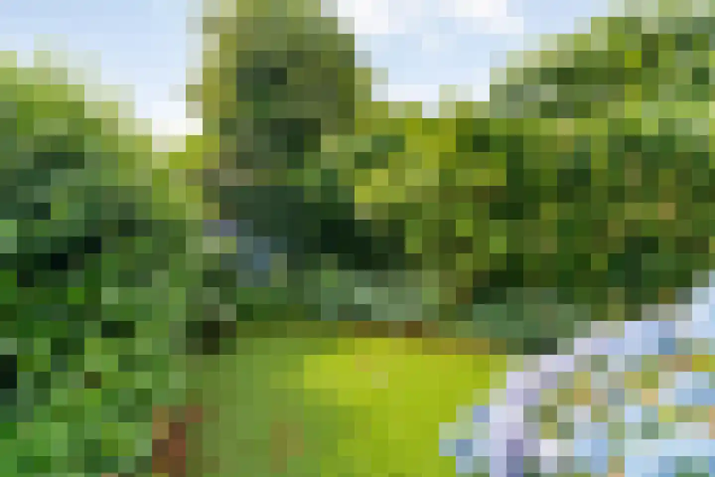 Esweg 14 Hardenberg thumbnail 35