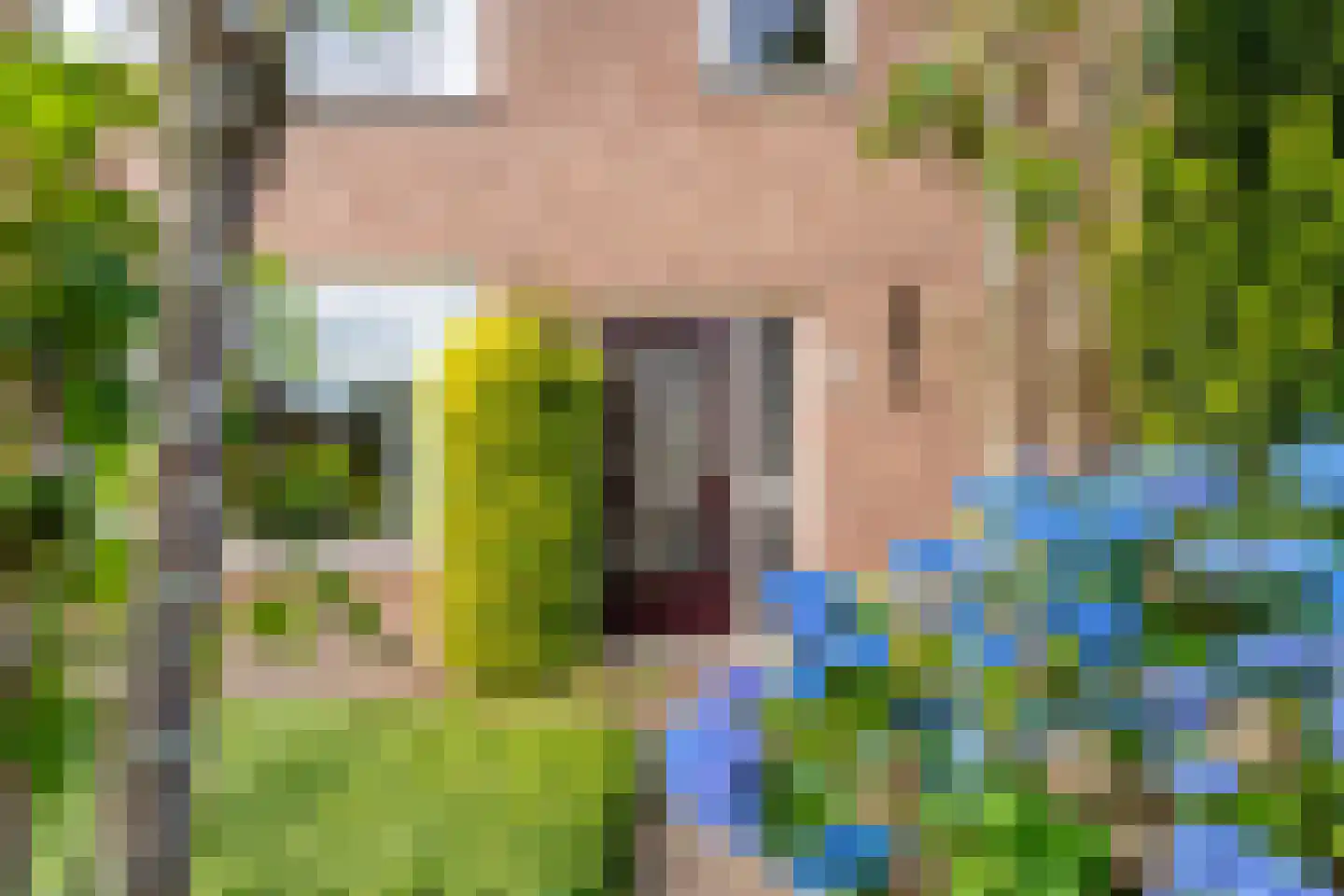 Esweg 14 Hardenberg thumbnail 4