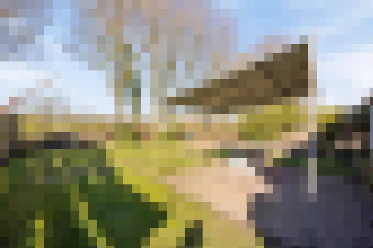 Esweg 17 Nieuw-Roden thumbnail 33