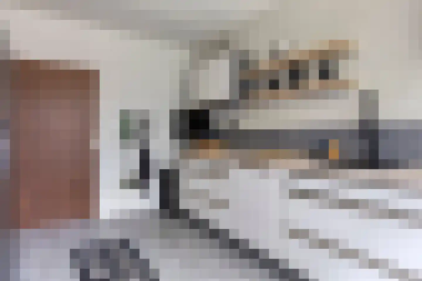 Esweg 18 Blijham thumbnail 5