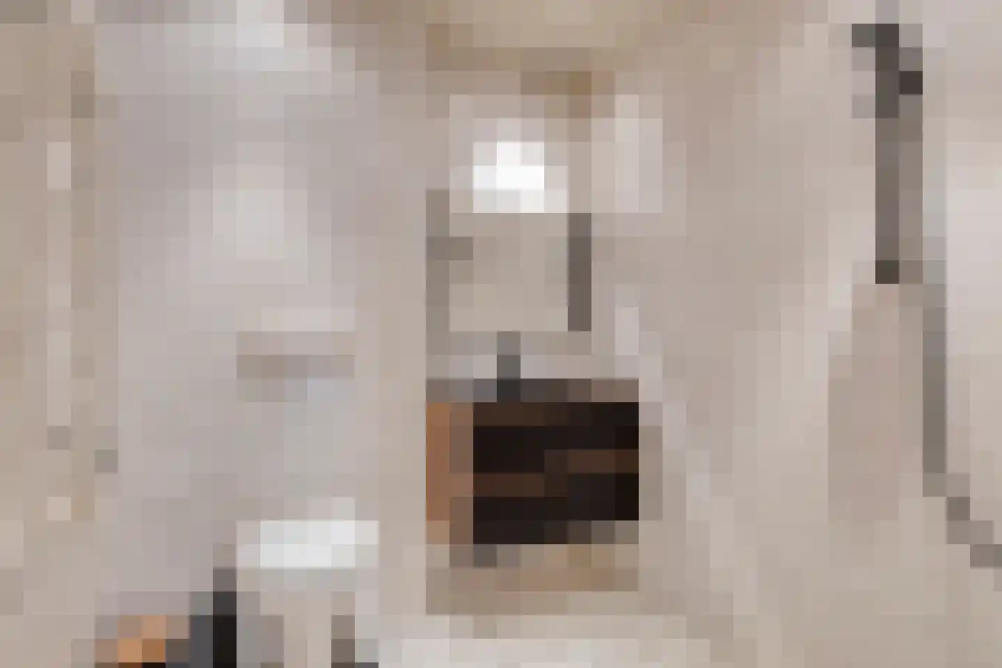 Esweg 18 Blijham thumbnail 6