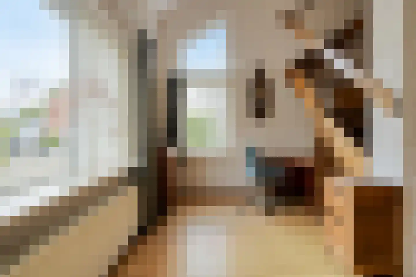 Esweg 18 Ruurlo thumbnail 12