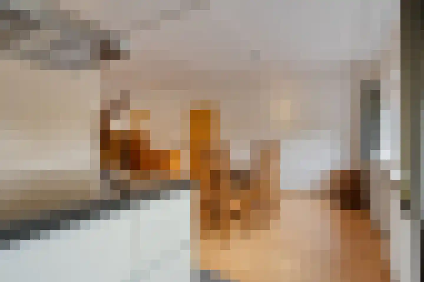 Esweg 18 Ruurlo thumbnail 21
