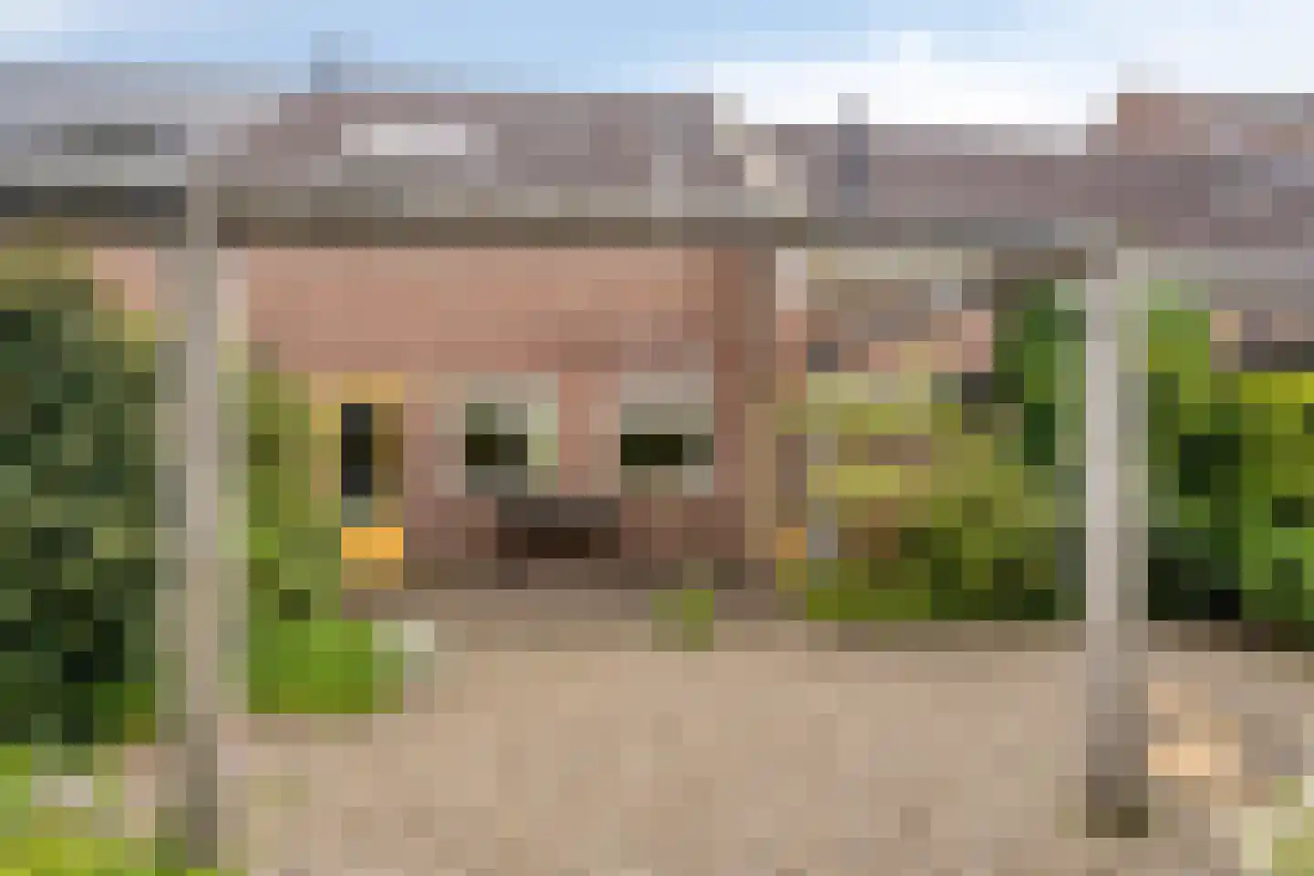 Esweg 18 Ruurlo thumbnail 37