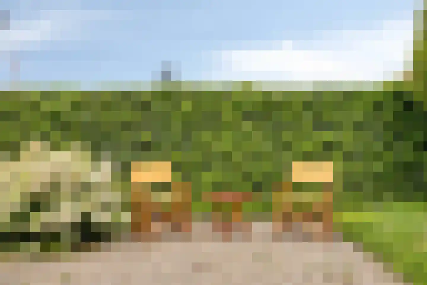 Esweg 18 Ruurlo thumbnail 4