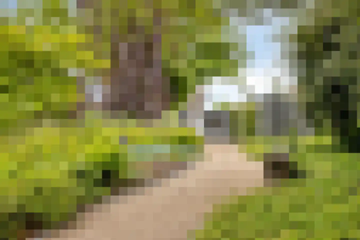 Esweg 18 Ruurlo thumbnail 43