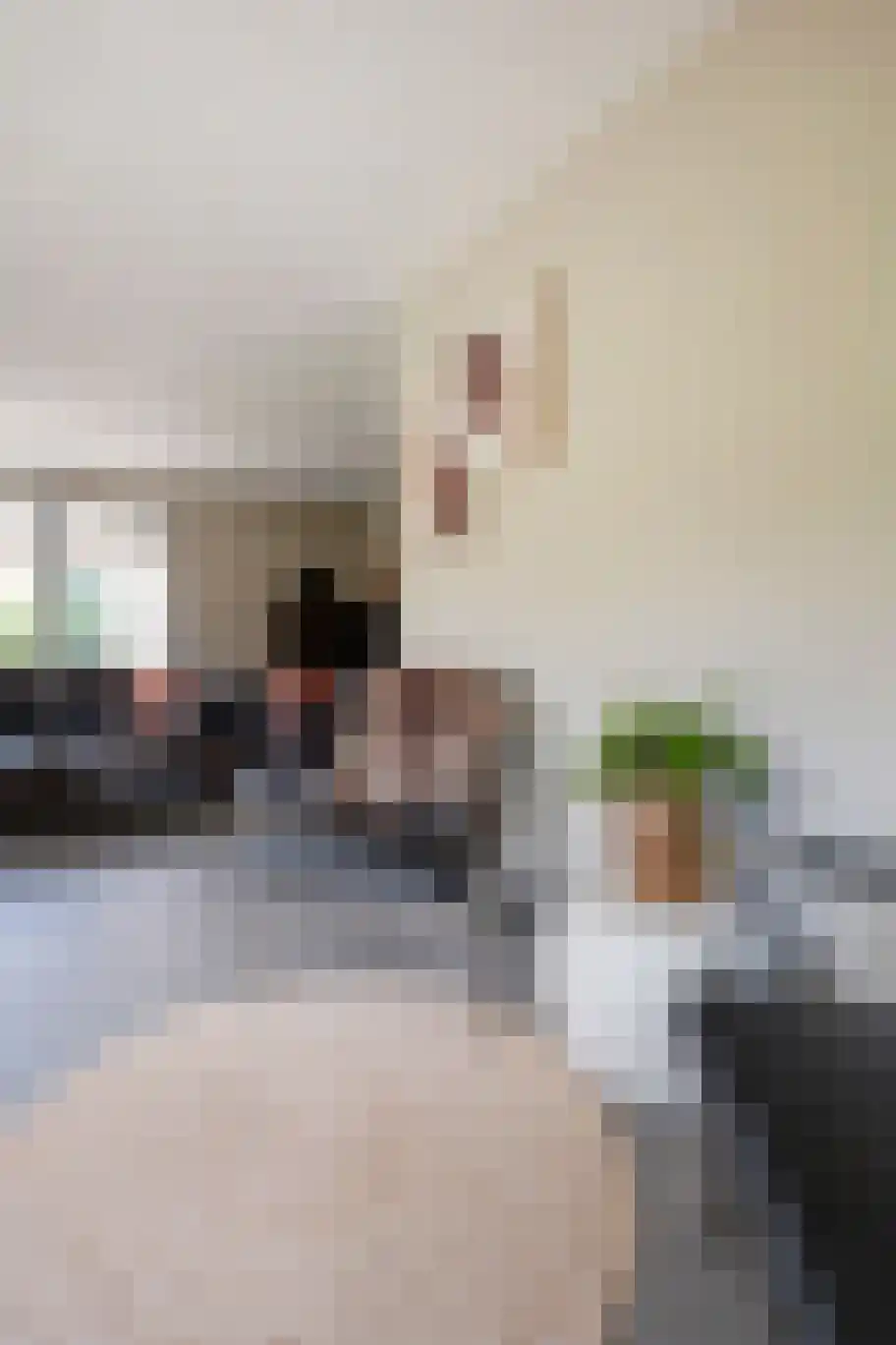 Esweg 2 Ekehaar thumbnail 14