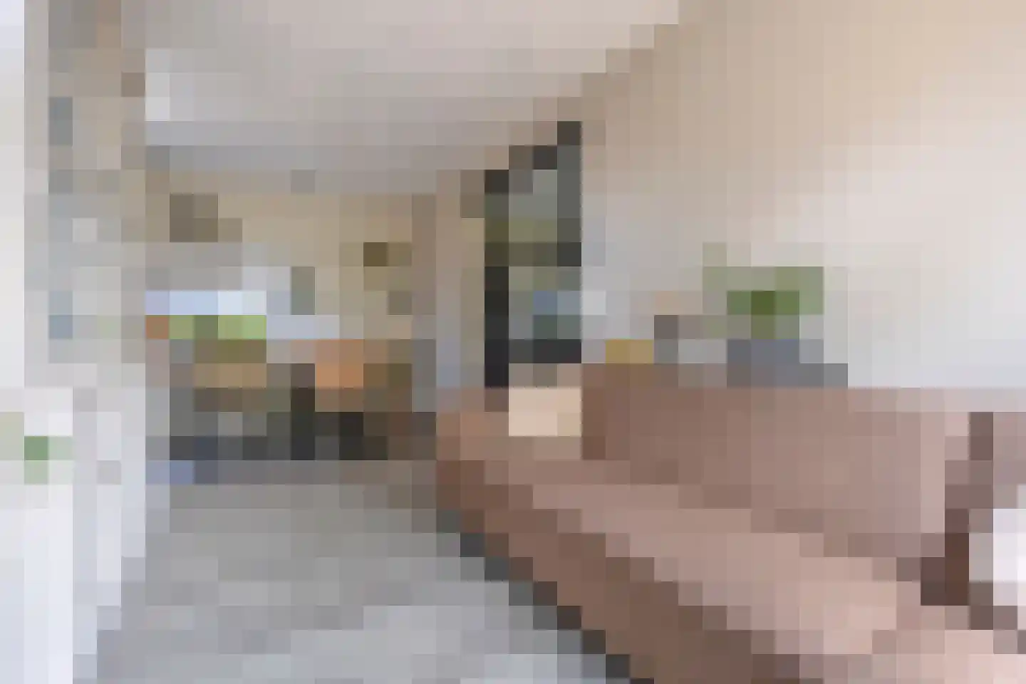 Esweg 2 Ekehaar thumbnail 21