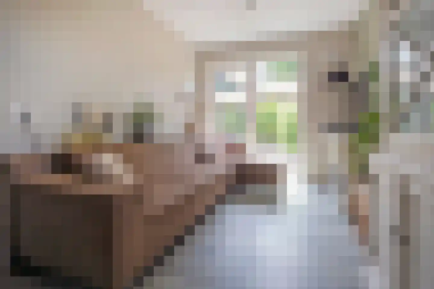 Esweg 2 Ekehaar thumbnail 22