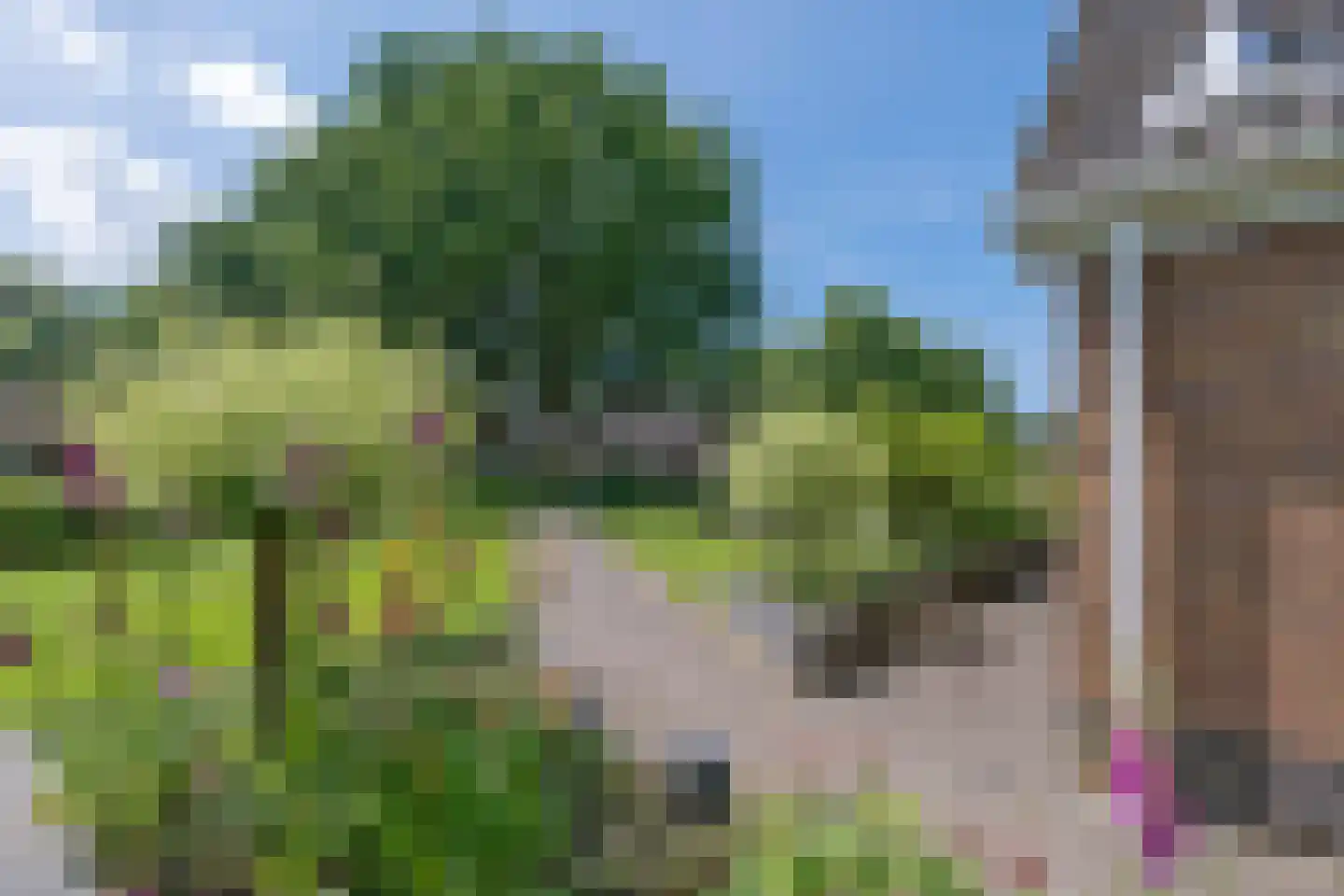 Esweg 2 Ekehaar thumbnail 60
