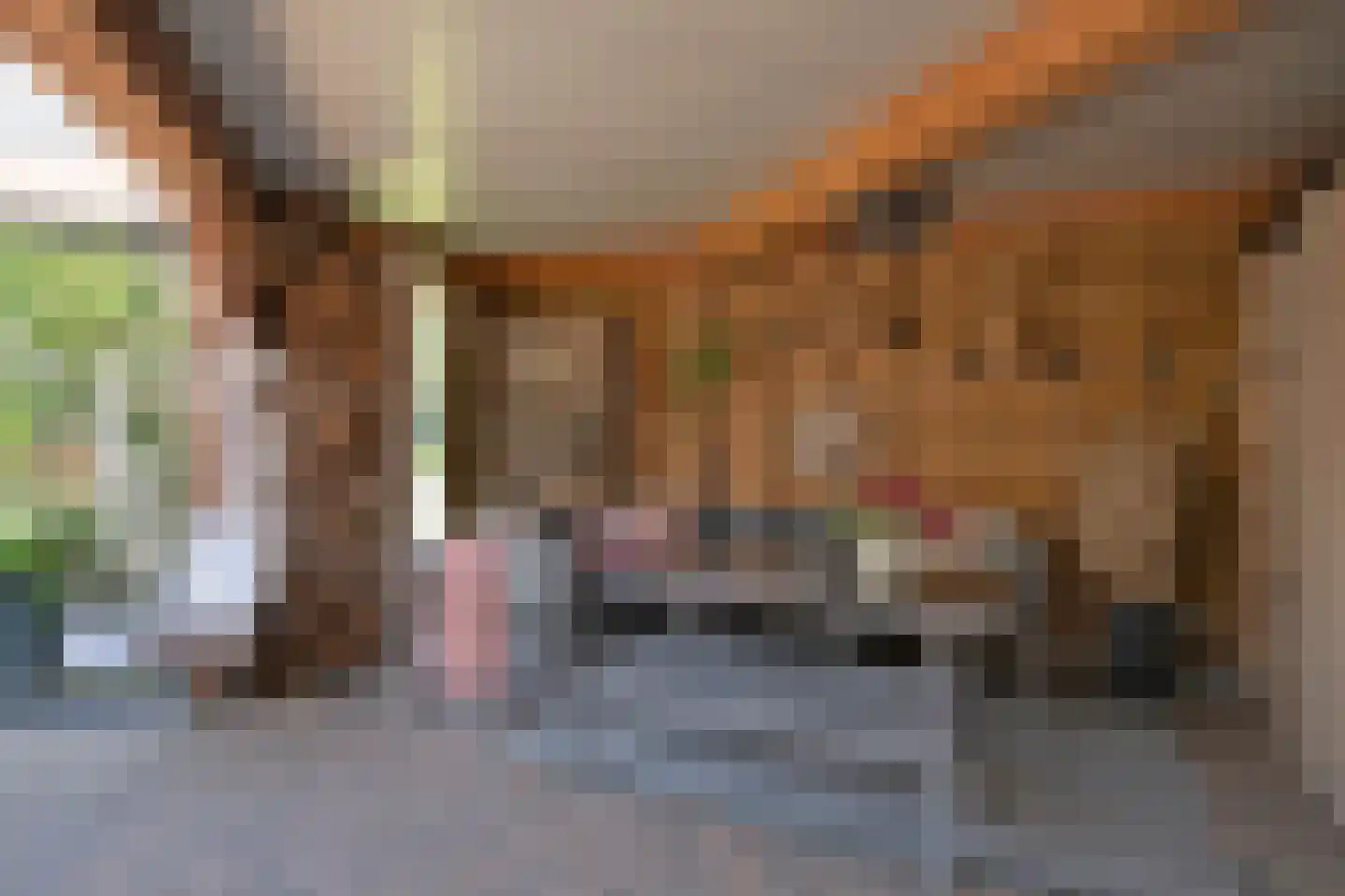 Esweg 2 Ekehaar thumbnail 67