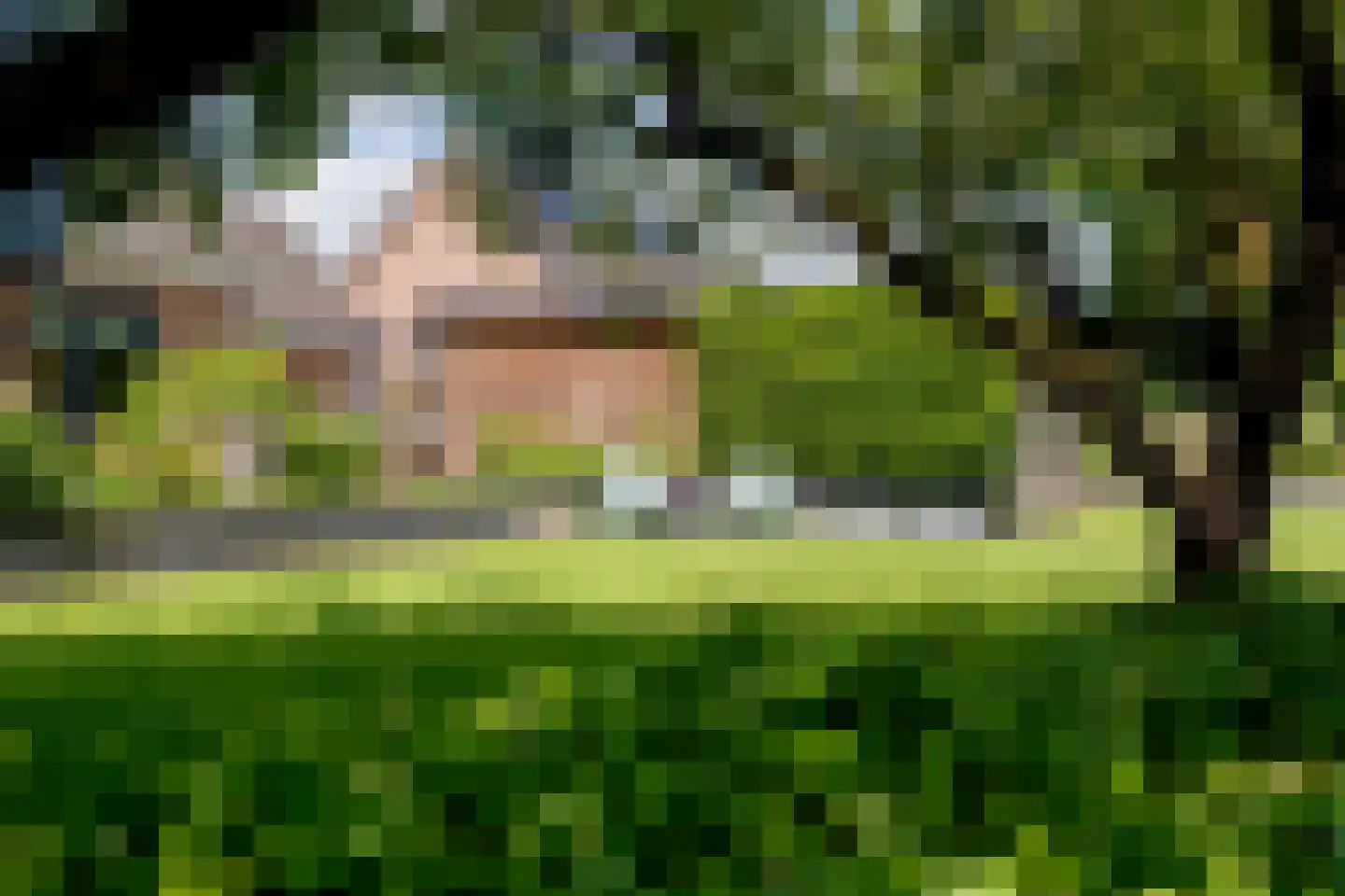 Esweg 2 Ekehaar thumbnail 74