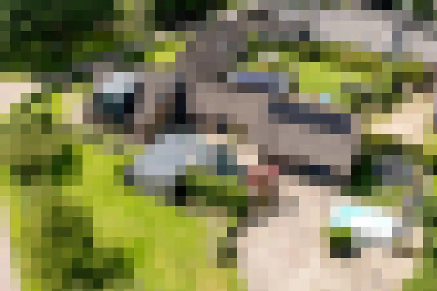 Esweg 2 Ekehaar thumbnail 77
