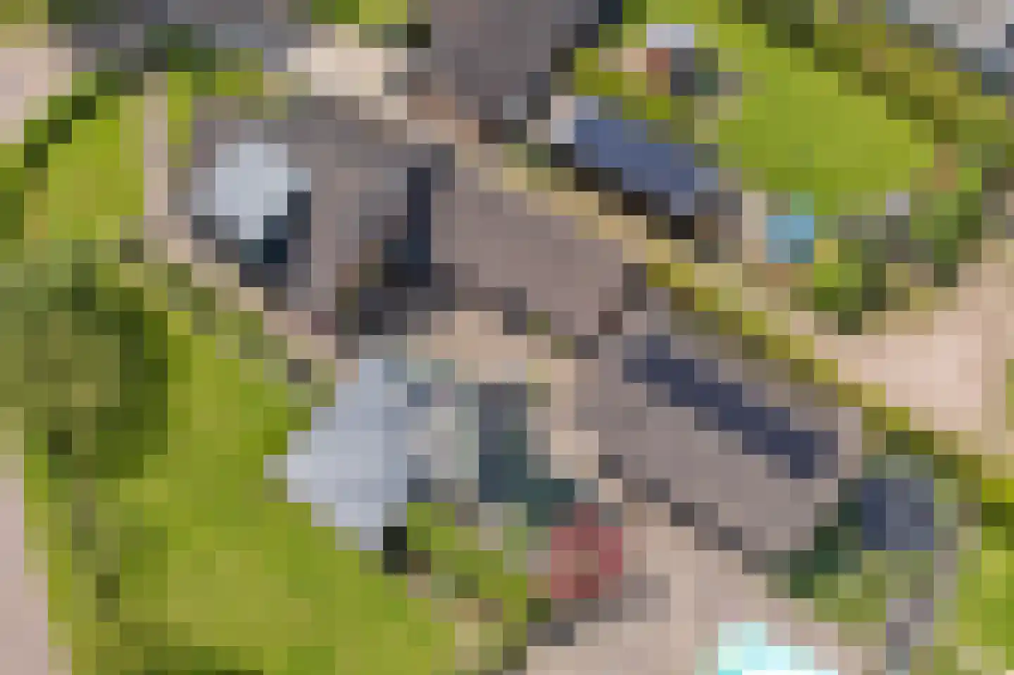 Esweg 2 Ekehaar thumbnail 79