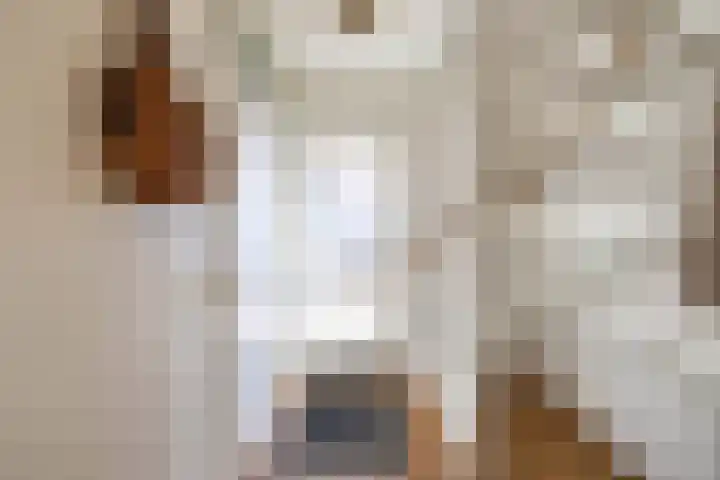 Esweg 22 Gieten thumbnail 12