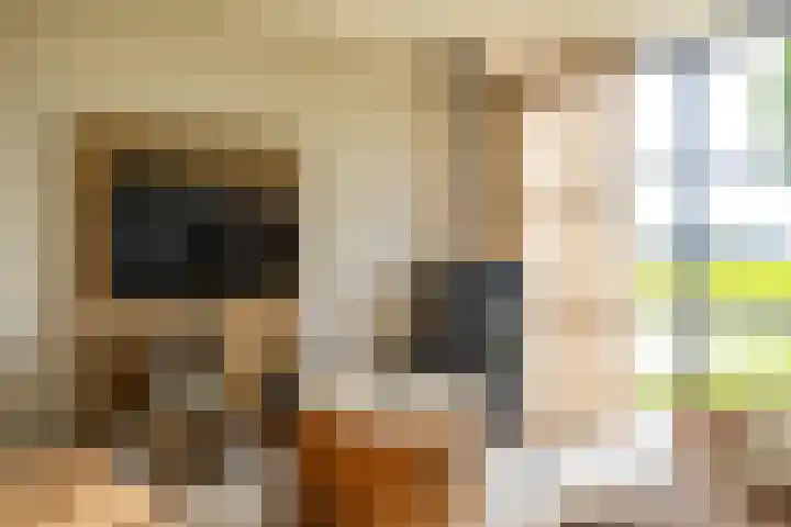 Esweg 22 Gieten thumbnail 16