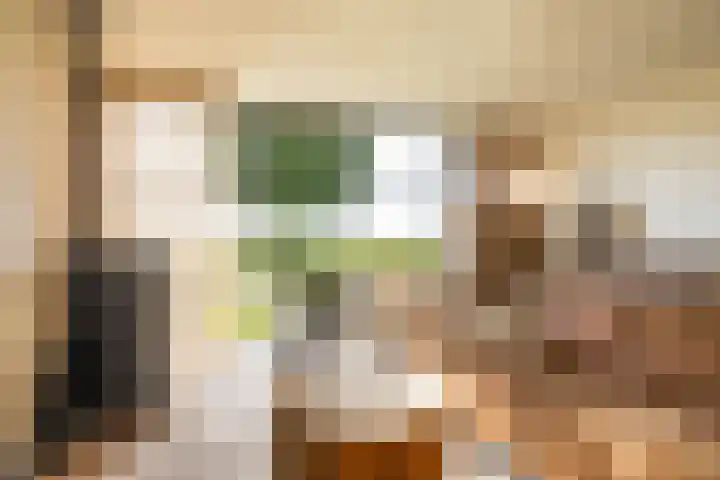 Esweg 22 Gieten thumbnail 17